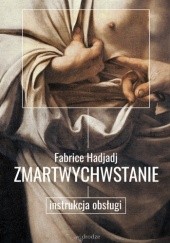 Okładka książki Zmartwychwstanie. Instrukcja obsługi Fabrice Hadjadj