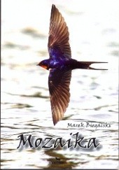 Okładka książki Mozaika Marek Biegalski