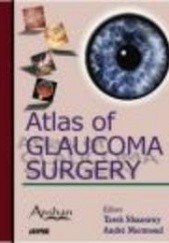 Okładka książki Atlas of Glaucoma Surgery Andre Mermoud, Tarek Shaarawy