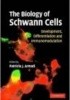 Okładka książki Biology of Schwann Cells Patricia J. Armati,&nbsp;Edgardo J. Arroyo,&nbsp;Joyce A. Benjamins,&nbsp;Maria Laura Feltri,&nbsp;Zhihua Feng,&nbsp;Hans-Peter Hartung,&nbsp;Wei Hu,&nbsp;Richard A. C. Hughes,&nbsp;Kristjan R. Jessen,&nbsp;John Kamholz,&nbsp;Bernd C. Kieseier,&nbsp;Chien-Ping Ko,&nbsp;Jun Li,&nbsp;Robert P. Lisak,&nbsp;Emily Mathey,&nbsp;Rhona Mirsky,&nbsp;John D. Pollard,&nbsp;Steven S. Scherer,&nbsp;Michael E. Shy,&nbsp;Yoshie Sugiura,&nbsp;Lawrence Wrabetz