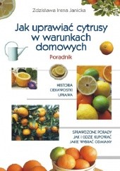 Okładka książki Jak uprawiać cytrusy w warunkach domowych Zdzisława Irena Janicka