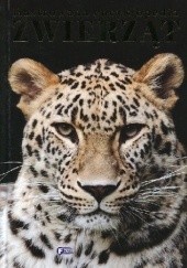 Okładka książki Ilustrowana encyklopedia zwierząt praca zbiorowa