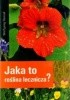 Okładka książki Jaka to roślina lecznicza? Wolfgang Hensel