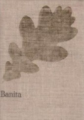 Okładka książki Banita. Czasy Stefana Batorego Józef Ignacy Kraszewski