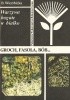 Okładka książki Warzywa bogate w białko. Groch, fasola, bób... Brygida Wierzbicka