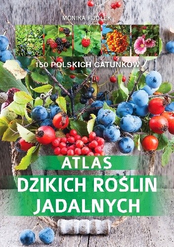 Okładka książki Atlas dzikich roślin jadalnych Monika Fijołek