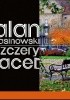 Okładka książki Szczery facet Alan Sasinowski