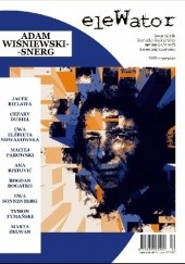 Okładka książki eleWator nr 20 (2/2017) - Adam Wiśniewski-Snerg