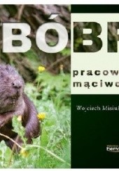 Okładka książki Bóbr pracowity mąciwoda Justyna Maluga, Wojciech Misiukiewicz