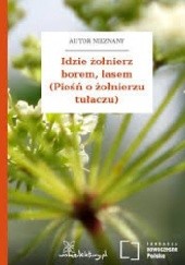 Okładka książki Idzie żołnierz borem, lasem (Pieśń o żołnierzu tułaczu) autor nieznany