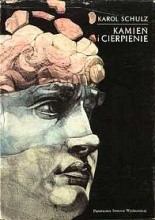 Okładka książki Kamień i cierpienie