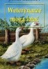 Okładka książki Weterynarze mogą latać James Herriot