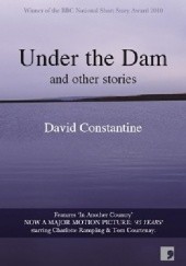 Okładka książki Under the Dam: And Other Stories David Constantine