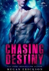 Okładka książki Chasing Destiny Megan Erickson