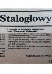 Okładka książki Stalogłowy Andrzej Sapkowski