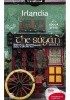 Okładka książki Irlandia. Travelbook. Wydanie 1 Piotr Thier,&nbsp;Adrian Wróbel