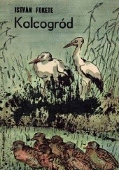 Okładka książki Kolcogród