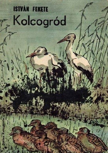 Okładka książki Kolcogród István Fekete