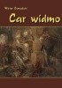 Okładka książki Car widmo Powieść z czasów zasiadania a przecie nie siedzenia Władysława, syna Zygmuntowego, na tronie Rurykowym Wiktor Teofil Gomulicki