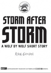 Okładka książki Storm After Storm Ryan Graudin
