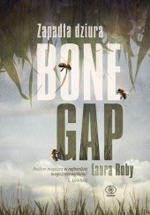 Okładka książki Zapadła dziura Bone Gap