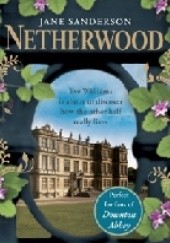 Okładka książki Netherwood Jane Sanderson