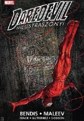 Okładka książki Daredevil. Nieustraszony! Tom 1 Brian Michael Bendis, Rachel Dodson, Terry Dodson, David Mack, Alex Maleev