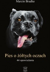 Okładka książki Pies o żółtych oczach