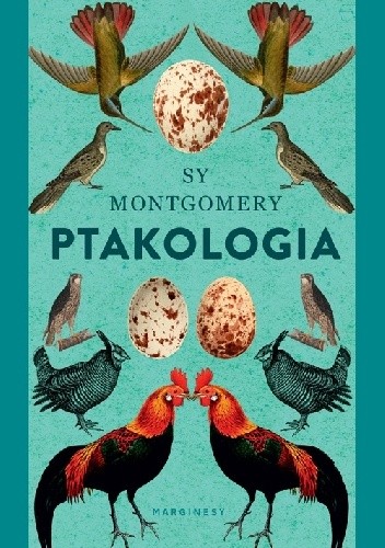Okładka książki Ptakologia Sy Montgomery