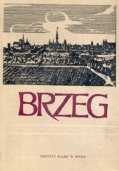 Okładka książki Brzeg: Dzieje, gospodarka, kultura Władysław Dziewulski