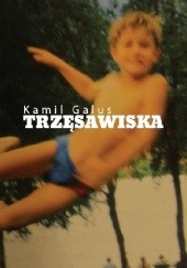 Okładka książki Trzęsawiska Kamil Galus