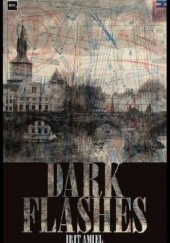 Okładka książki Dark Flashes Irit Amiel