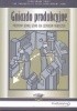 Okładka książki Gniazdo produkcyjne. Przepływ jednej sztuki dla zespołów roboczych. Hiroyuki Hirano