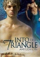 Okładka książki Into the Triangle Amylea Lyn