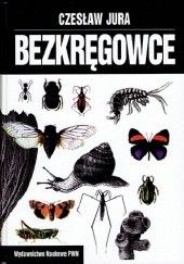Okładka książki Bezkręgowce. Podstawy morfologii funkcjonalnej, systematyki i filogenezy Czesław Jura
