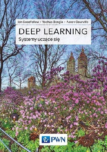 Deep Learning. Systemy uczące się