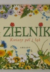 Okładka książki Zielnik. Kwiaty pól i łąk Agnieszka Rekłajtis-Zawada