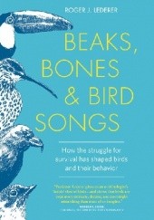 Okładka książki Beaks, Bones, and Bird Songs: How the Struggle for Survival Has Shaped Birds and Their Behavior Roger Lederer