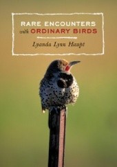 Okładka książki Rare Encounters with Ordinary Birds Lyanda Lynn Haupt
