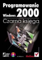Programowanie Windows 2000. Czarna księga