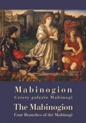 Okładka książki Mabinogion Cztery gałęzie 
