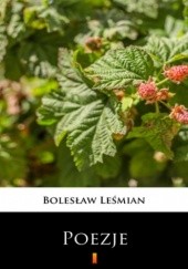 Okładka książki Poezje. Wybór Bolesław Leśmian