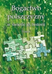 Okładka książki Bogactwo polszczyzny w świetle jej historii. T. 6 Joanna Przyklenk, Wioletta Wilczek
