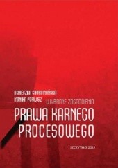 Okładka książki Wybrane zagadnienia prawa karnego procesowego Choromańska Agnieszka, Porwisz Monika