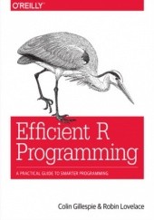 Okładka książki Efficient R Programming. A Practical Guide to Smarter Programming Gillespie Colin, Lovelace Robin