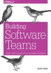 Okładka książki Building Software Teams. Ten Best Practices for Effective Software Development Wijnholds Gijs, Rigal Sylvan, Joost Visser