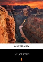 Okładka książki Silvertip Max Brand