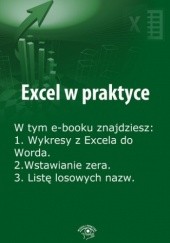 Okładka książki Excel w praktyce, wydanie lipiec 2014 r Janus Rafał