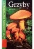 Grzyby