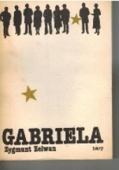 Okładka książki Gabriela Zygmunt Zelwan